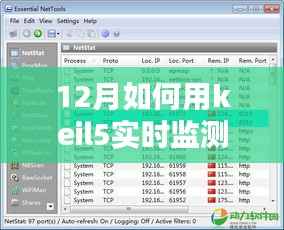 Keil5在冬季的实时监测数据深度解析