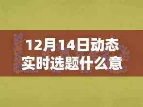 12月14日动态实时选题系统详解与全面评测