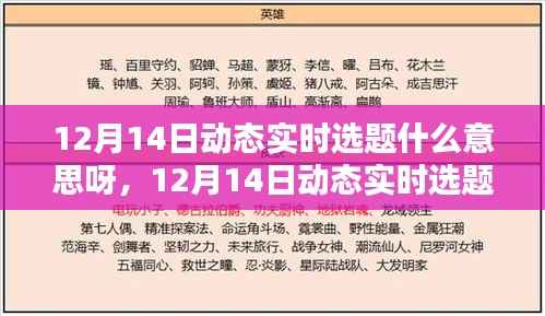 12月14日动态实时选题系统详解与全面评测