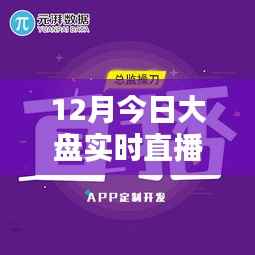 12月今日大盘实时直播视频,全面评测与详细介绍