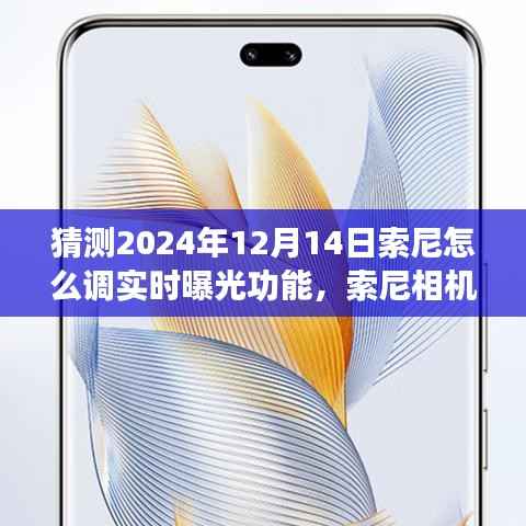 索尼相机实时曝光功能展望与细节探索,预测未来操作及调整细节(至2024年)