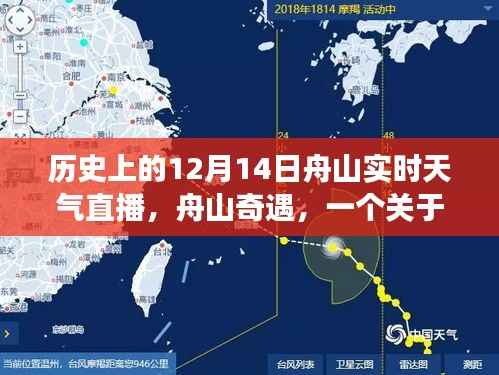 舟山的天气故事,友情、爱与陪伴的温馨直播纪实