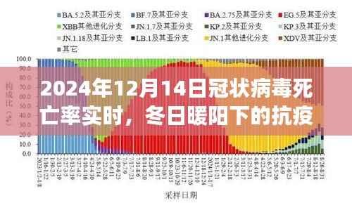 冬日暖阳下的抗疫日常，冠状病毒死亡率实时记录与温馨故事分享