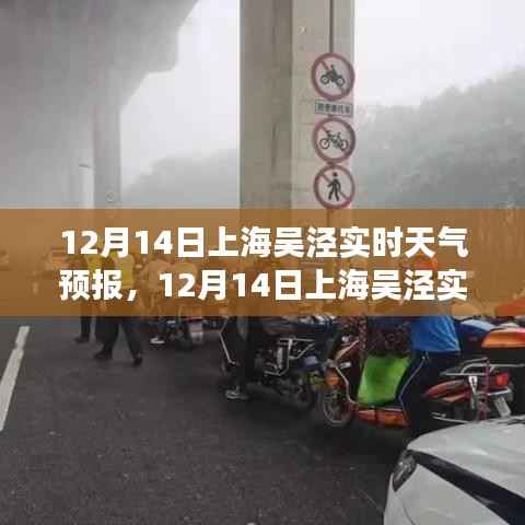 上海吴泾天气预报,变化中的阳光,照亮学习之旅的未来方向