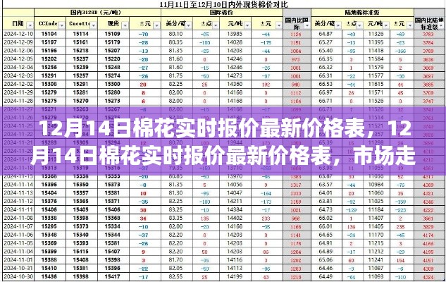 12月14日棉花实时报价最新价格表及市场走势深度分析与解读