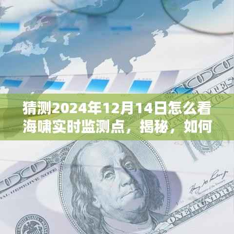 揭秘,在线观测海啸实时监测点的指南——以未来日期预测为例,聚焦2024年12月14日海啸观察分析