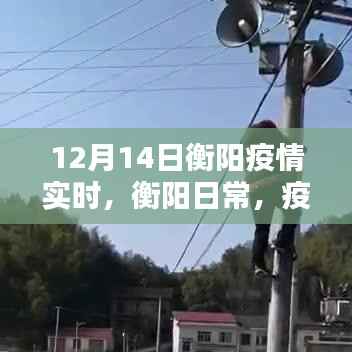 衡阳疫情下的暖心日常,12月14日实时观察