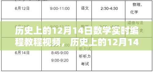 深度探讨,历史上的数学实时编程教程视频回顾与探讨其价值与挑战(12月14日版)