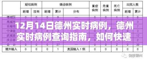 德州实时病例查询指南,12月14日病例数据详解及快速掌握查询流程