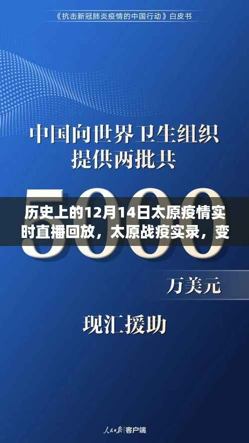 太原战疫实录,历史视角下的疫情实时直播与变化中的学习之路