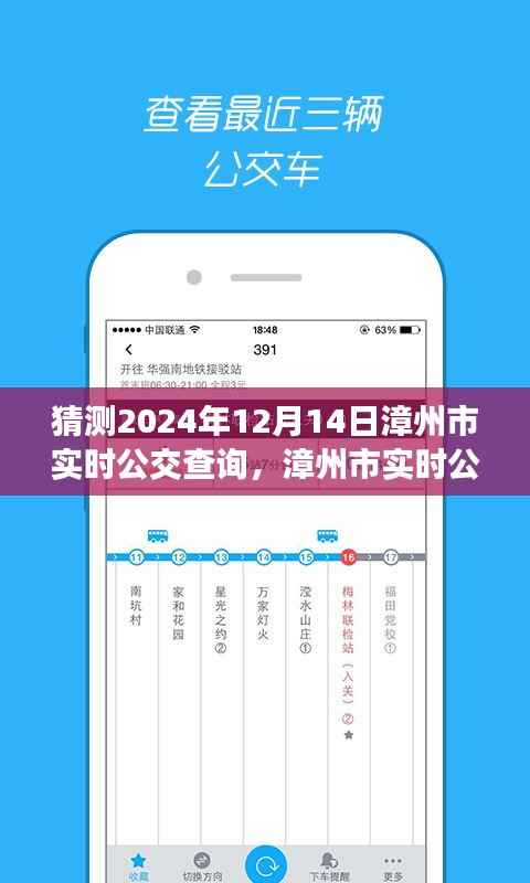 漳州市实时公交查询预测，2024年12月14日公交指南与查询策略