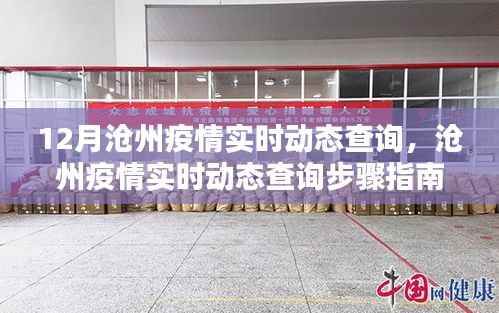 沧州疫情实时动态查询指南,初学者与进阶用户的查询步骤