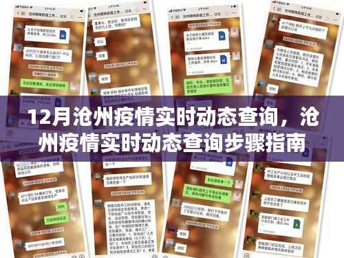 沧州疫情实时动态查询指南,初学者与进阶用户的查询步骤
