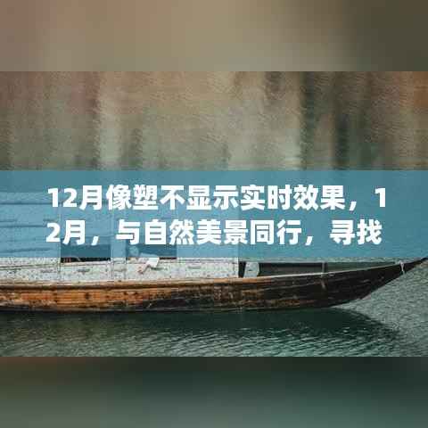 远离尘嚣的奇妙旅程，与自然美景同行，探寻内心的宁静与真实（12月像塑实时效果缺失）