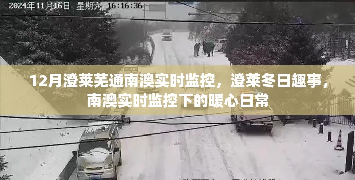 南澳实时监控下的澄莱冬日趣事与暖心日常