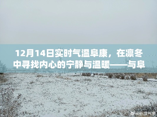 12月14日阜康实时气温,冬日里的内心宁静与温暖之旅
