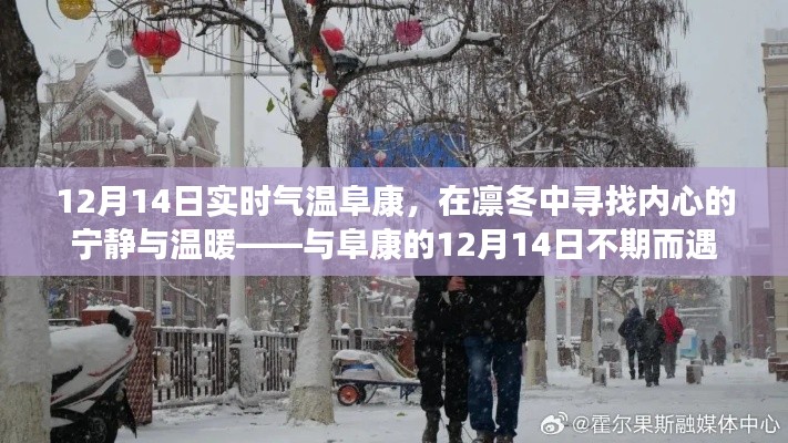 12月14日阜康实时气温,冬日里的内心宁静与温暖之旅