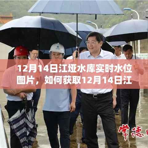 获取江垭水库实时水位图片指南,详细步骤解析