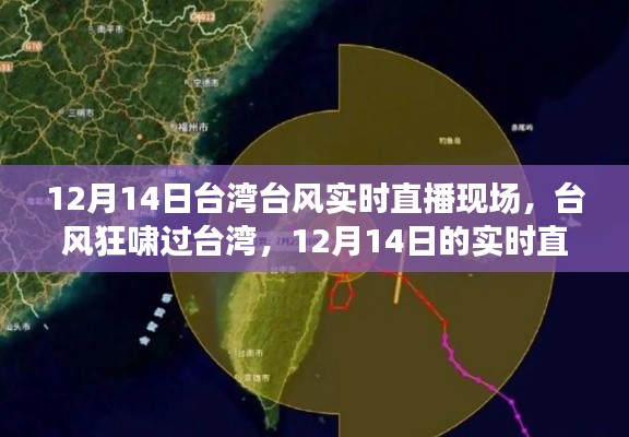 12月14日台湾台风狂啸,实时直播与记忆刻痕