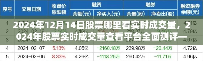 2024年股票实时成交量查看平台全面测评,聚焦12月14日的股市实时成交量观察