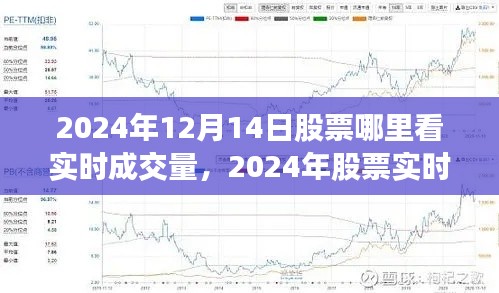 2024年股票实时成交量查看平台全面测评,聚焦12月14日的股市实时成交量观察