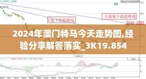 2024年澳门特马今天走势图,经验分享解答落实_3K19.854