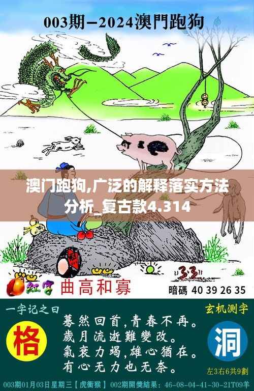 澳门跑狗,广泛的解释落实方法分析_复古款4.314