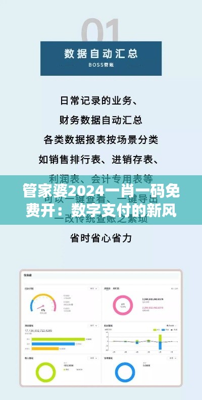 管家婆2024一肖一码免费开:数字支付的新风尚,轻松管理财务的未来展望