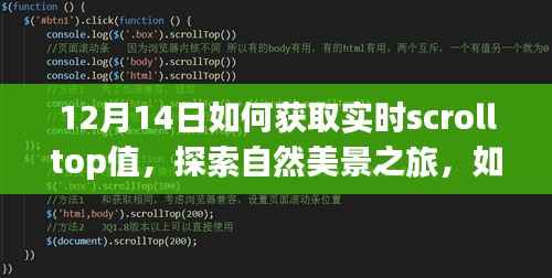 探索自然美景之旅,如何在冬日阳光下轻松获取滚动条实时位置,寻找内心的宁静与平和