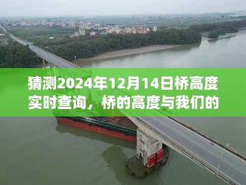 桥的高度与心之桥，友情与未来的故事，实时查询预测桥高（2024年12月14日）