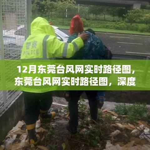东莞台风网实时路径图深度解读与观点阐述,台风路径分析与预测