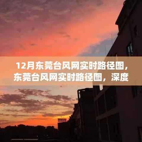东莞台风网实时路径图深度解读与观点阐述,台风路径分析与预测