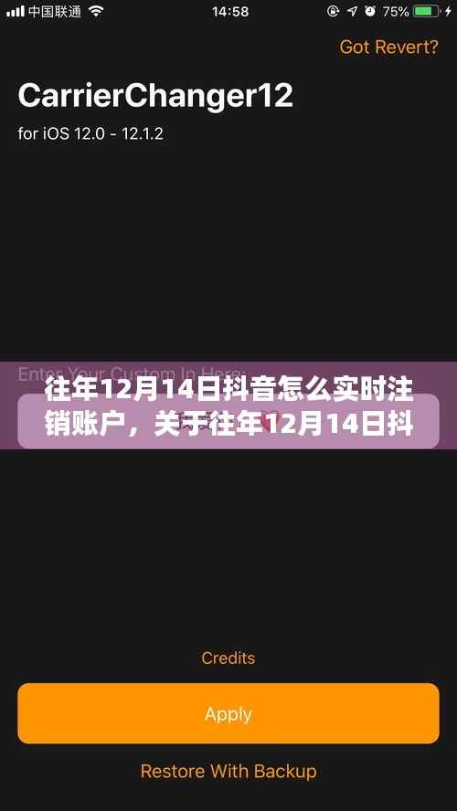 关于往年12月14日抖音账户实时注销的探讨与操作指南