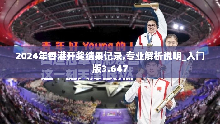 2024年香港开奖结果记录,专业解析说明_入门版3.647