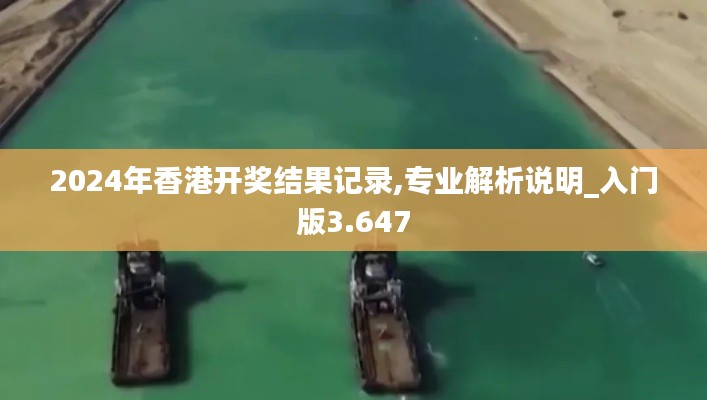 2024年香港开奖结果记录,专业解析说明_入门版3.647