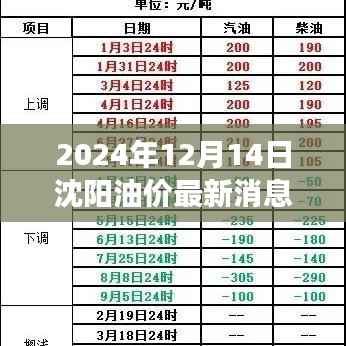 2024年12月14日沈阳油价最新动态与影响观察