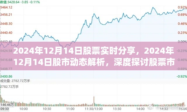 深度解析,2024年股市动态与策略选择,股票实时分享及市场起伏探讨