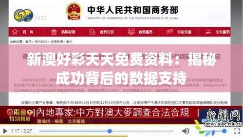 新澳好彩天天免费资料：揭秘成功背后的数据支持