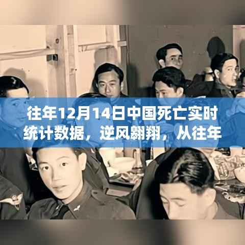 逆风翱翔,中国历年12月14日死亡实时统计数据揭示变化的力量