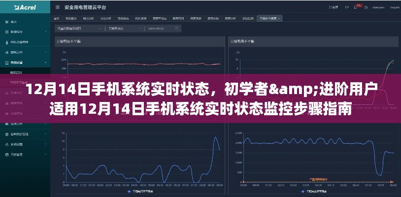 12月14日手机系统实时状态监控指南,初学者与进阶用户适用