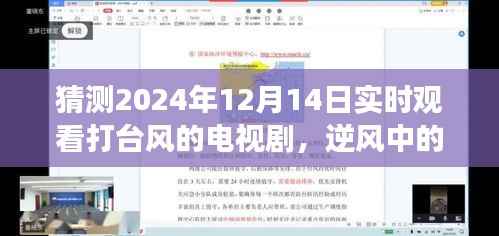 逆风中的智慧与勇气，励志电视剧启示与台风共舞的成长之路