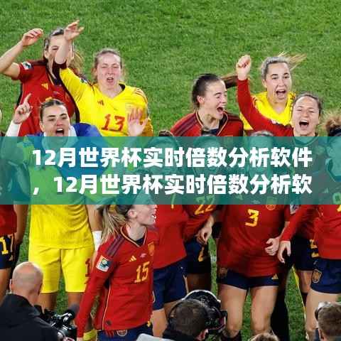 引领足球盛宴的数据风暴,12月世界杯实时倍数分析软件全解析
