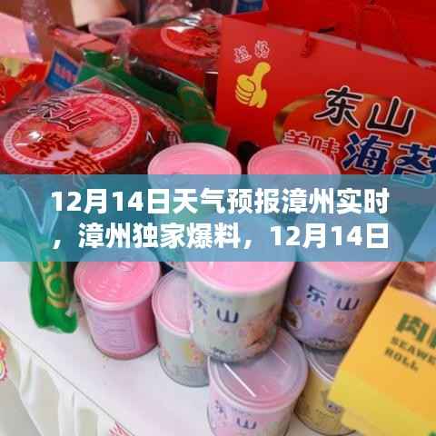漳州天气预报独家爆料,12月14日天气动态超详细解析与实时更新