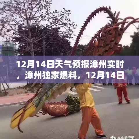 漳州天气预报独家爆料,12月14日天气动态超详细解析与实时更新