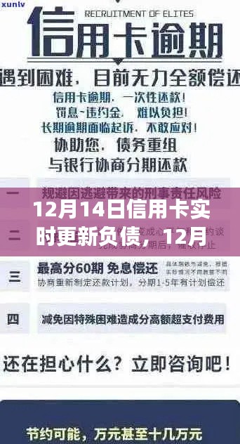 12月14日信用卡负债实时更新,个人财务的有效管理策略