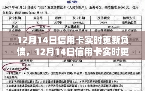 12月14日信用卡负债实时更新,个人财务的有效管理策略