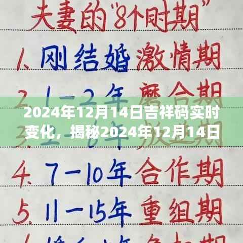 揭秘，2024年12月14日吉祥码实时变化深度解析与用户体验对比竞品分析