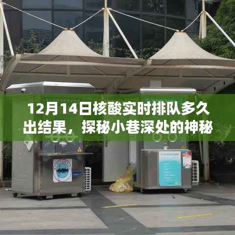 探秘神秘小店,揭秘核酸检测排队时长与惊喜揭晓!