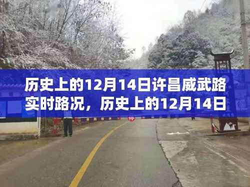 历史上的12月14日许昌威武路实时路况深度解析与评测