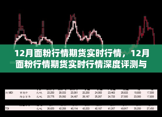 深度解析,12月面粉期货实时行情及全面评测介绍